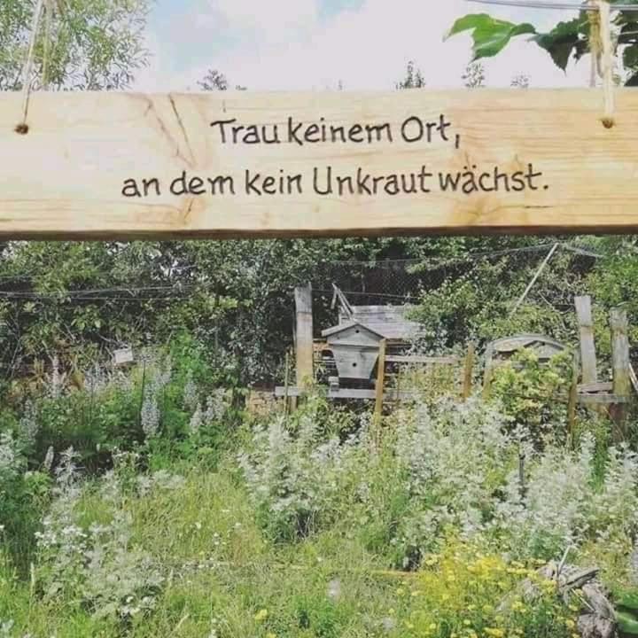 Katharina Fruehstueck Ab 5 Uhr Frueh Pensión Seeboden